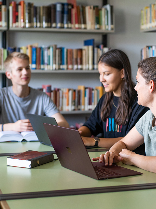 Studierende bei einer Gruppenarbeit in der Bibliothek