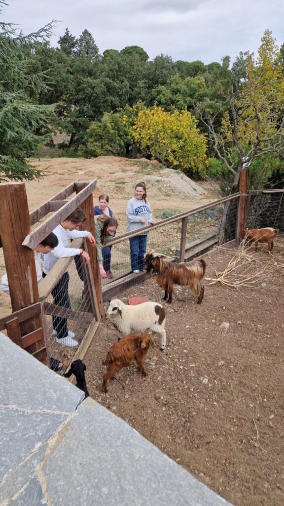 Griechenland-Einsatzv